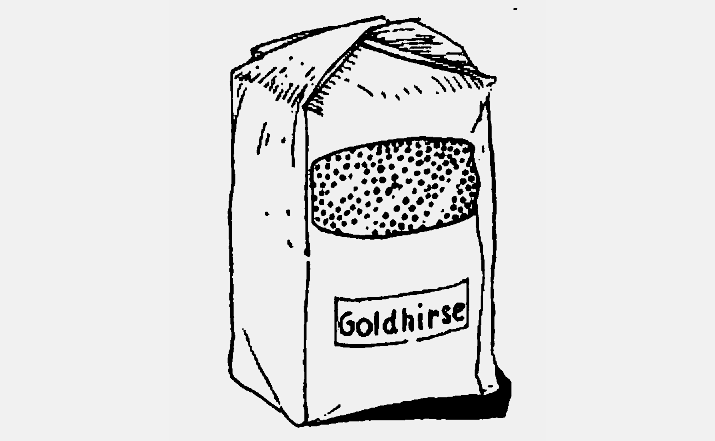 Goldhirse