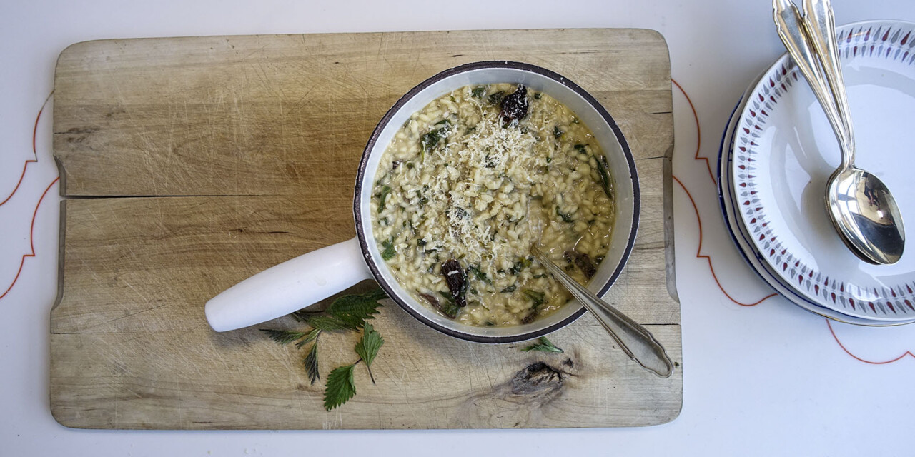 Risotto mit Brennesseln und Morcheln | Elisabeth Fülscher