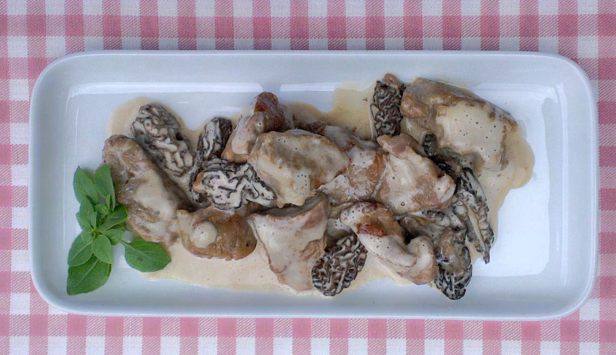 Thumbnail_zero_attch